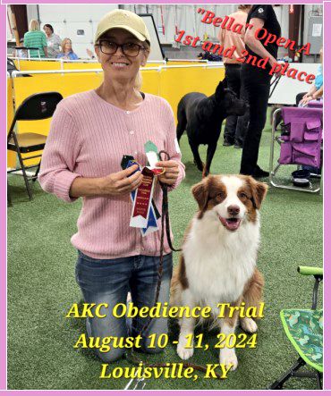 AKC CDX